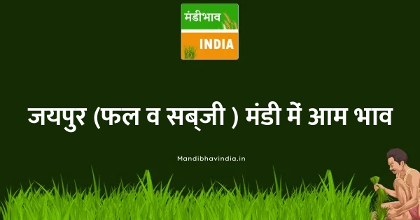 mango भाव